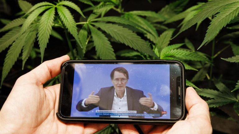 La logica drogata dietro alla legalizzazione della cannabis in Germania