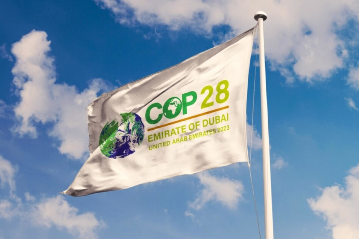 Cop28, l’annuale conferenza Onu sul clima, è in programma a Dubai, Emirati Arabi, dal 30 novembre al 12 dicembre 2023