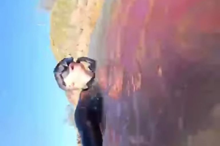 Reel ergo sum. Matteo Mariotti e il morso dello squalo