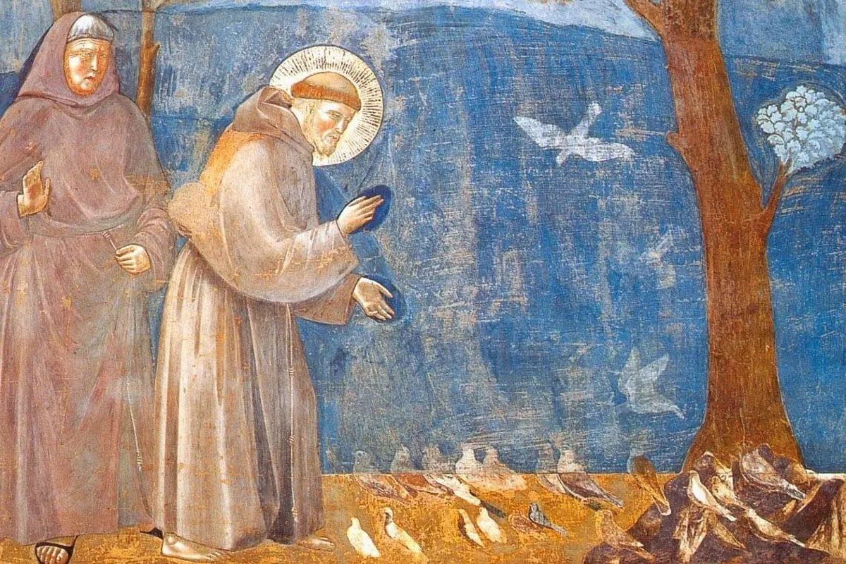 Particolare della predica agli uccelli dalle storie di san Francesco di Giotto