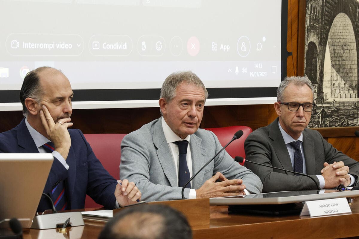Urso Ilva