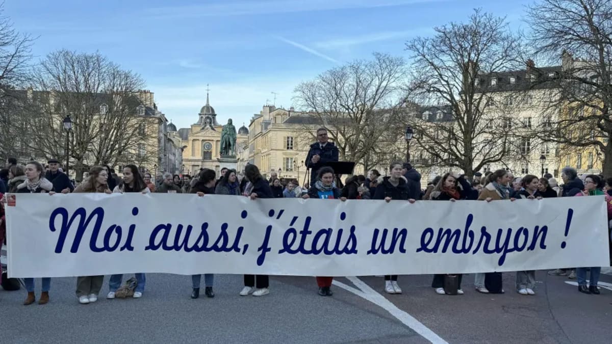 Manifestazione in Francia contro l'iscrizione in Costituzione della libertà garantita di abortire