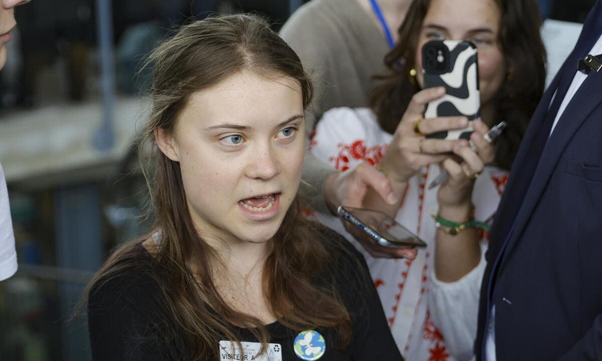Greta Thunberg accerchiata dai giornalisti a Strasburgo dopo che la Cedu ha equiparato la tutela dell'ambiente a un diritto umano