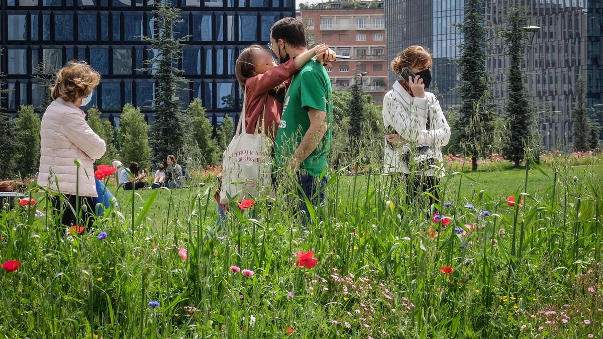 Prato e milanesi in fiore nei giardini Biblioteca degli Alberi a Porta Nuova Bosco Verticale, 9 maggio 2021 (foto Ansa)