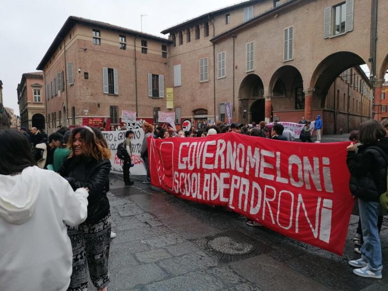 Le occupazioni dei vandali pecoroni