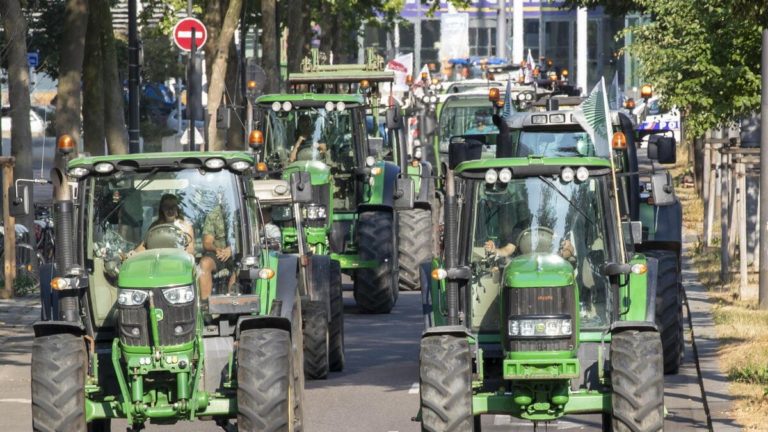 Per ripristinare la natura, l’Ue affossa l’agricoltura