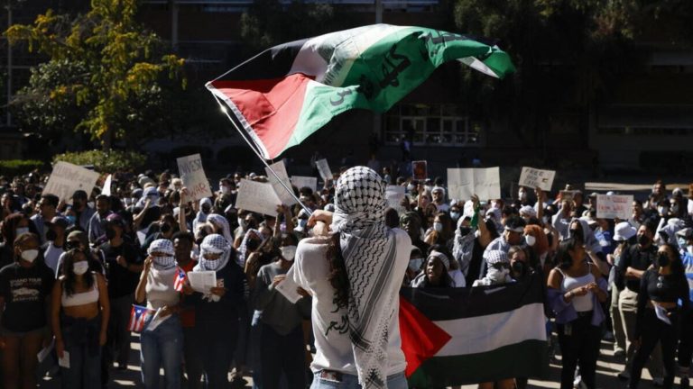 «Ho perso 31 parenti a Gaza. Ma i pro Pal danneggiano la nostra causa»