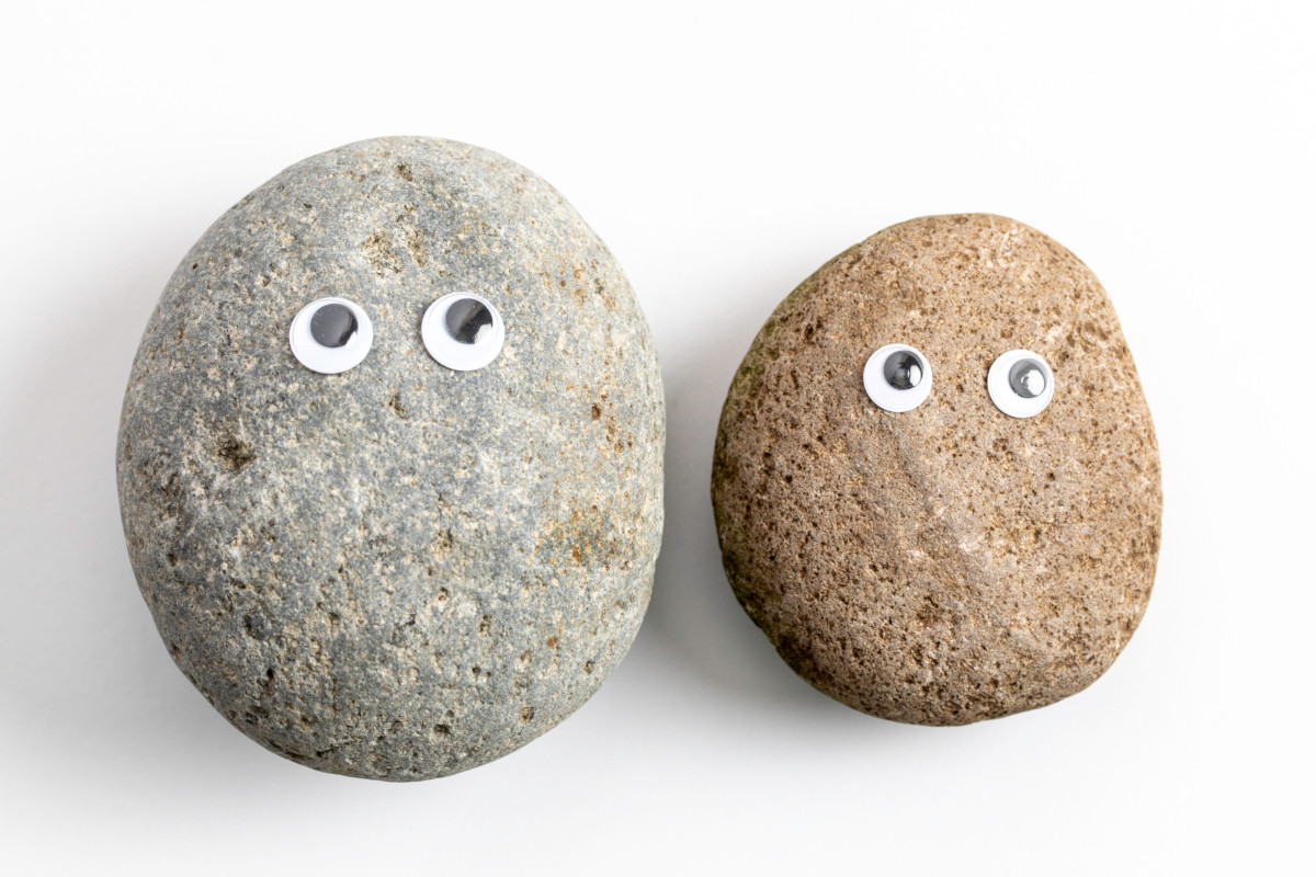 Pet rock