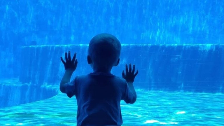 I bambini, riempiteli di stupore