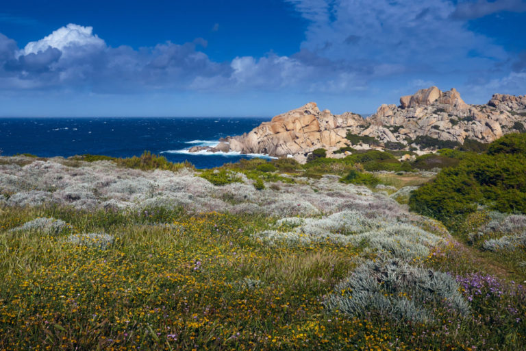 L’isola bambina