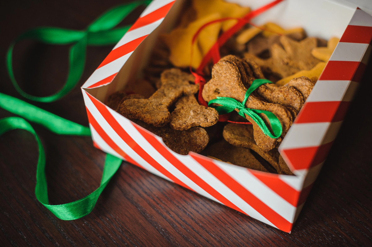 Regalo di Natale per cani