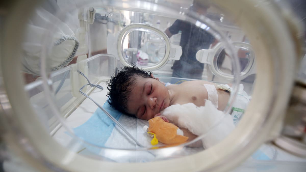 neonato in incubatrice