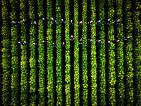 Philip Morris Italia lancia la quarta edizione della Call for innovation dedicata alla filiera del tabacco