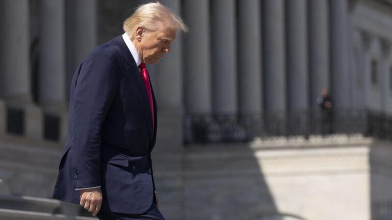 La democrazia americana funziona ancora bene