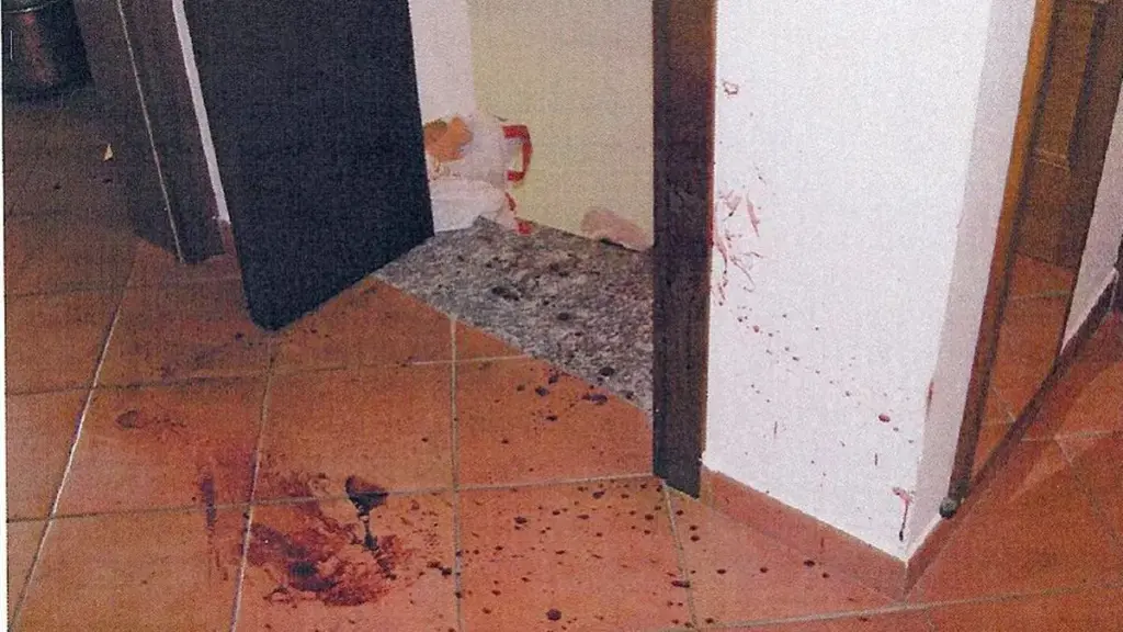 Una delle immagini allegate alla consulenza di parte civile nel processo per l'omicidio di Chiara Poggi (foto Ansa)