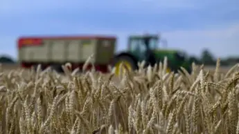 A letto senza cena per colpa del clima? No