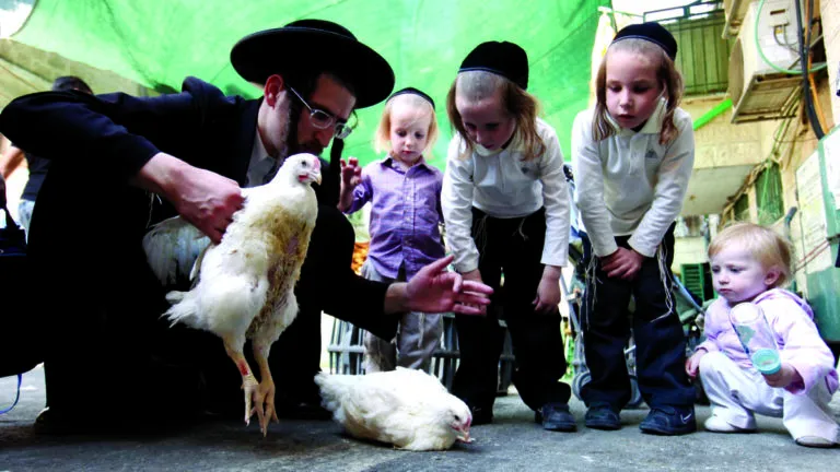 Israele crisi demografica