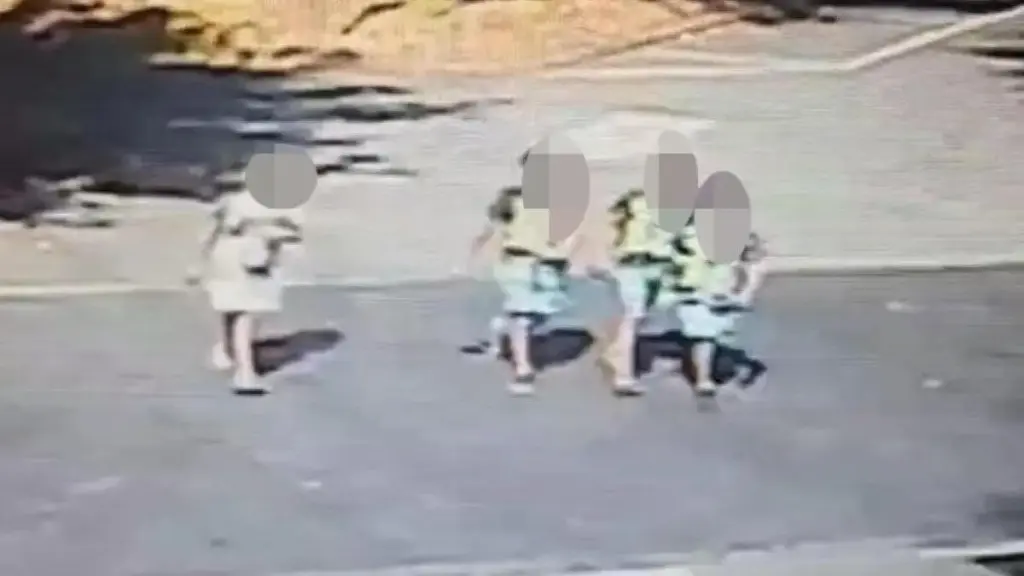 Un fermo immagine mostra i quattro ragazzini ritenuti responsabili dell'investimento di Cecilia De Astis, travolta e uccisa da un'auto a Milano (Ansa)