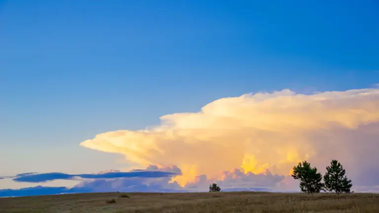 Cielo