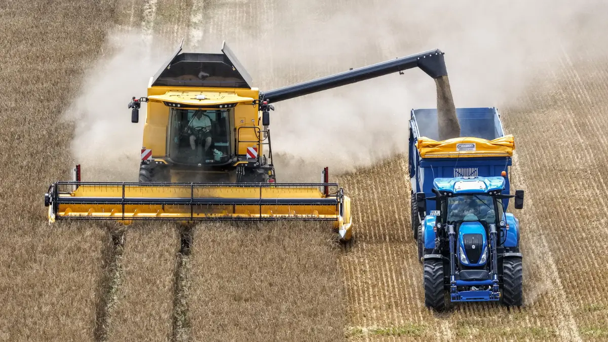 Mercosur Una foto aerea scattata con un drone mostra una mietitrebbia che miete grano in un campo vicino a Mallnow, in Germania, il 19 luglio 2025 agricoltura