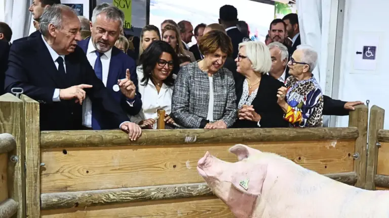 Bayrou Francia