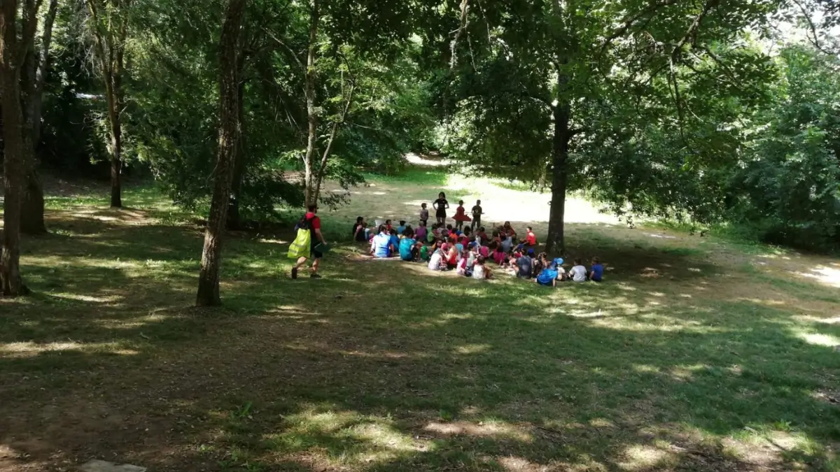 Vista dall'alto di un folto gruppo di bambini e animatori seduti su un prato all'ombra di alberi in un bosco, durante un'attività di campo estivo