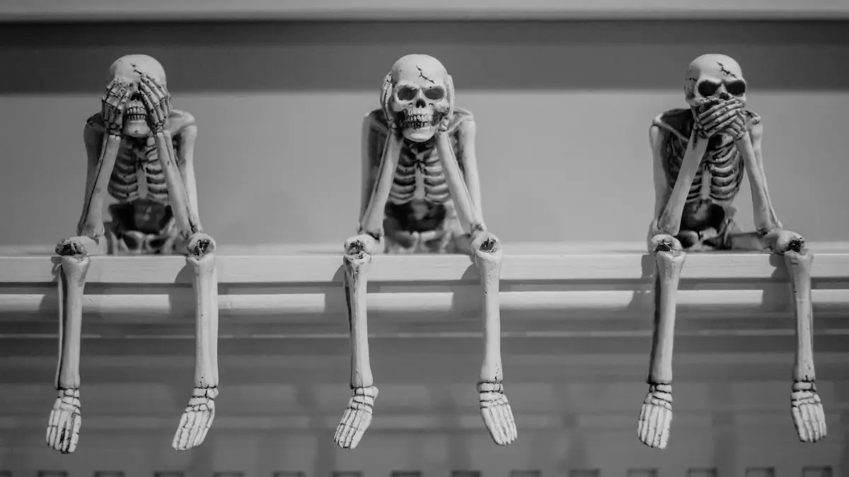 Tre scheletri giocattolo in bianco e nero che raffigurano le scimmie sagge: uno si copre gli occhi (non vedo il male), uno le orecchie (non sento il male), e uno la bocca (non parlo del male). Sono seduti su uno scaffale