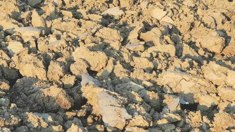 Sii terra ora