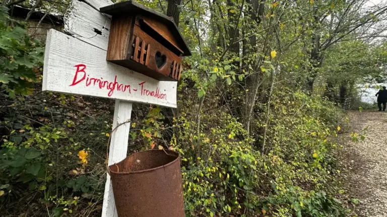 Perché il caso della “famiglia nel bosco” riguarda tutti