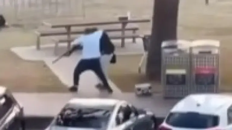 Un frame dal video girato con uno smartphone da un passante in cui si vede Ahmed el-Ahmed aggredire uno dei due terroristi per disarmarlo