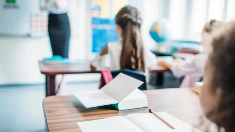 Macché latino e mate, gli aspiranti prof si concentrino su pappe per cani e pedagogia