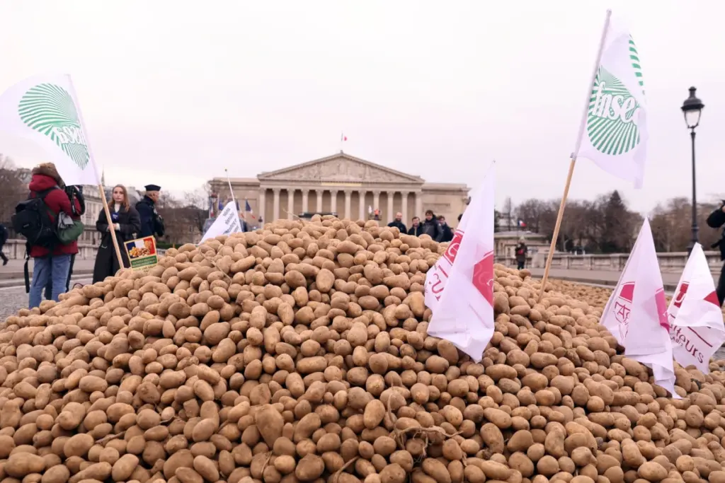Una montagna di patate rovesciata davanti all’Assemblea nazionale a Parigi come forma di contestazione dell’accordo Ue-Mercosur, 13 gennaio 2026 (foto Ansa)
