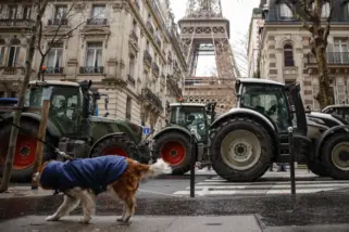Ci sarà ancora una sovranità alimentare europea dopo l’accordo con il Mercosur?