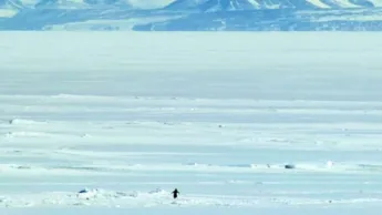 Giù gli slogan dal pinguino. Sculettiamo tutti verso l’ignoto