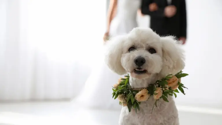Matrimoni infantili