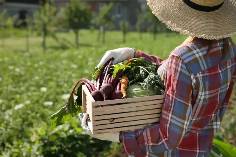 “Naturale” non vuol dire sempre “innocuo”. Le contraddizioni del bio
