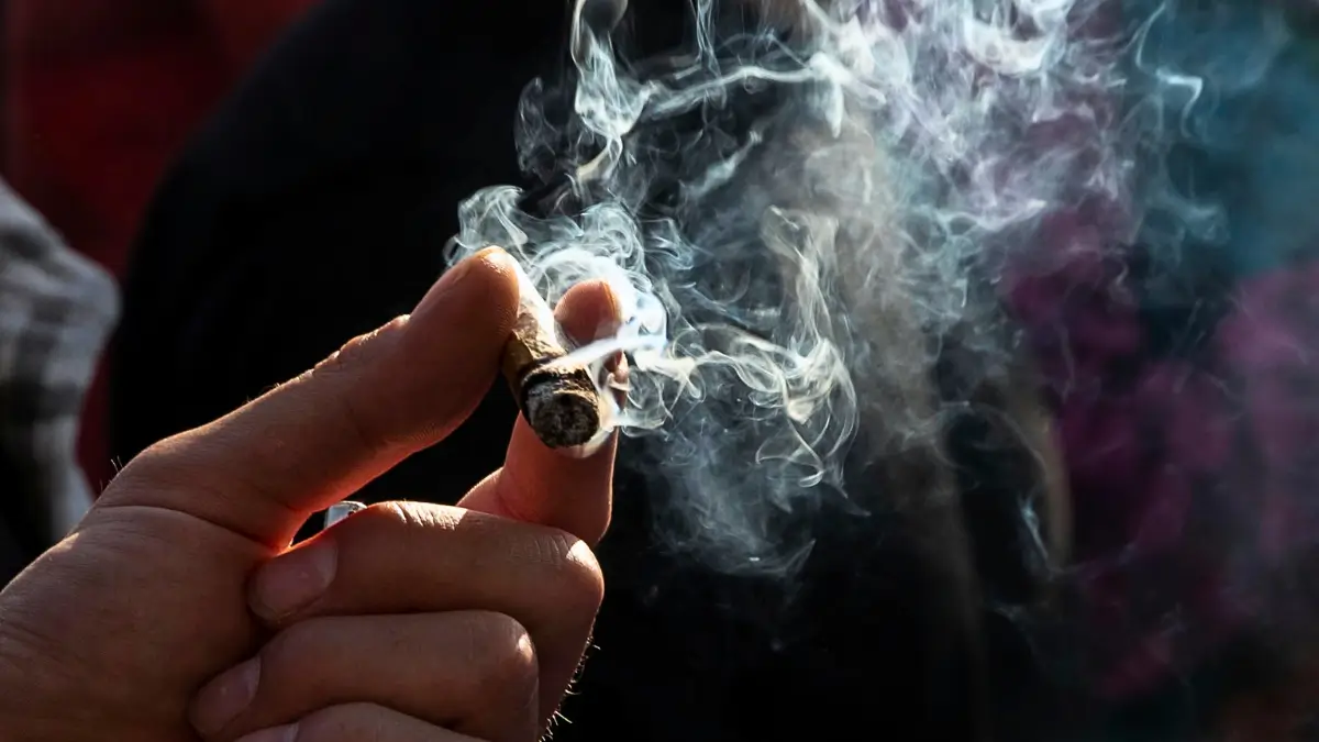 Una canna di marijuana tra le mani di un manifestante del Weed Day a New York