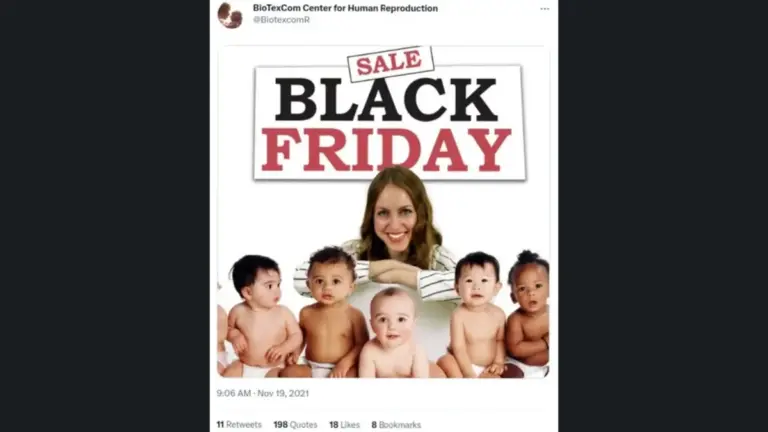 Le cicogne deluxe e il Black Friday dei figli della surrogata