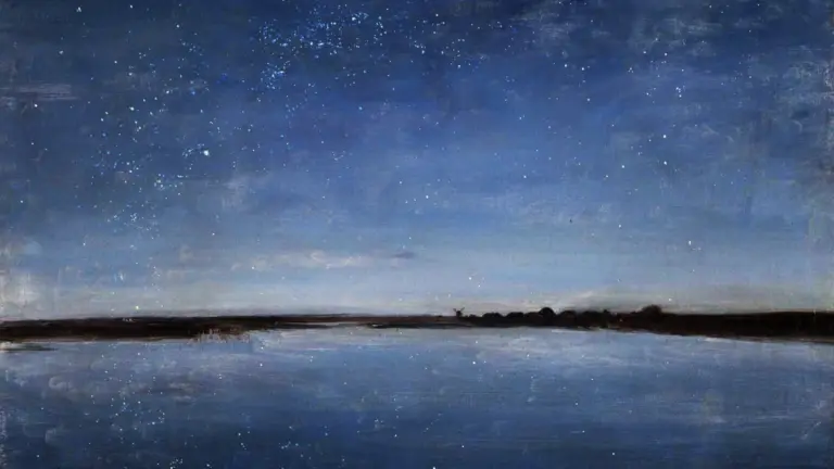Fino alle stelle