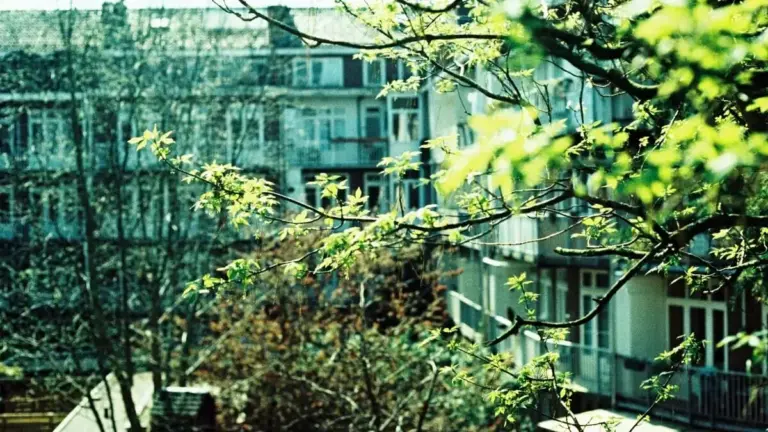 Lucia, che parla alle piante del condominio