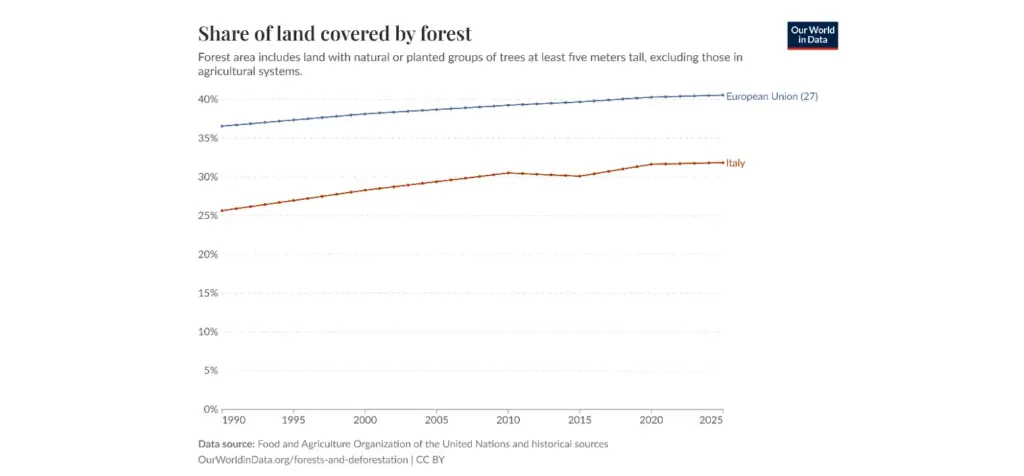 foreste incendi