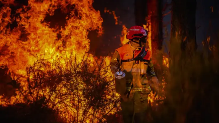 Clima e incendi? Una relazione complicata e aperta