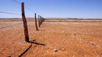 L’Australia come nemmeno gli australiani la racconterebbero mai
