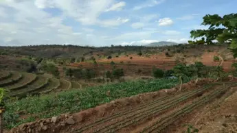 Kenya: la promessa africana ancora incompiuta
