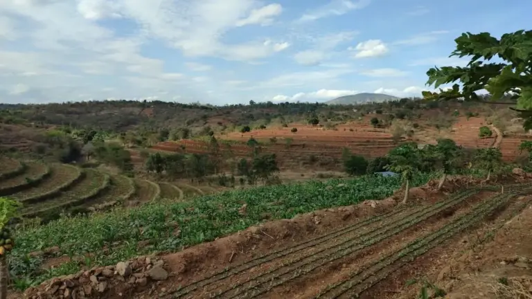 Kenya: la promessa africana ancora incompiuta