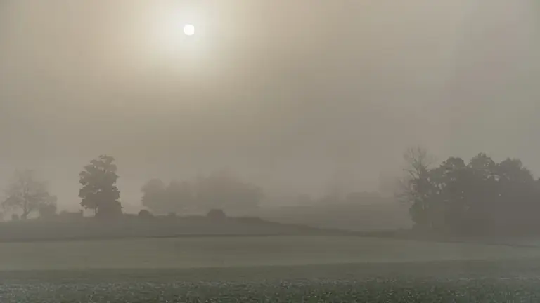 Nebbia sulla pianura